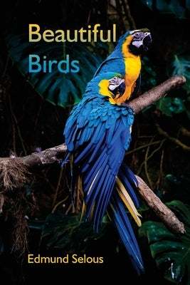 Beautiful Birds by Selous, Edmund