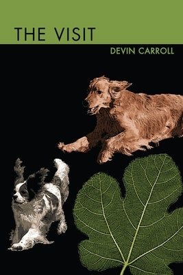 The Visit by Carroll, Devin