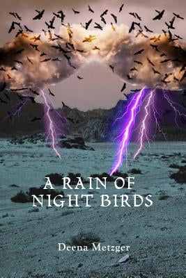 A Rain of Night Birds by Metzger, Deena
