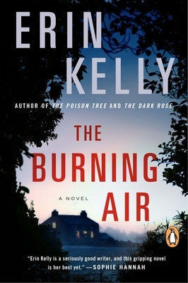 The Burning Air by Kelly, Erin