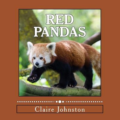 Red Pandas: Shy Forest Dwellers by Johnston, Claire