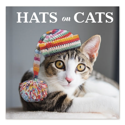 Hats on Cats by New Seasons