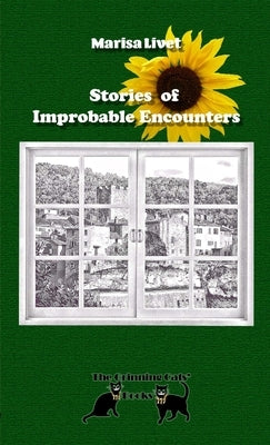 Stories of Improbable Encounters by Livet, Marisa