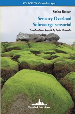 Sensory Overload: Sobrecarga Sensorial (Bilingual edition) by Reiter, Sasha