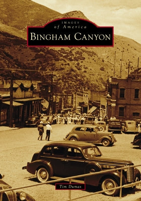 Bingham Canyon by Dumas, Tim