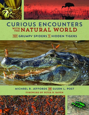 Curious Encounters with the Natural World: From Grumpy Spiders to Hidden Tigers by Jeffords, Michael