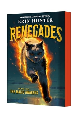 Renegades #1: The Magic Awakens by Hunter, Erin