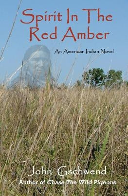 Spirit In The Red Amber: A novel of an American Indian by Gschwend, John