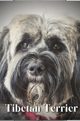 Tibetan Terrier: Dog breed overview and guide by Pustova, Nina