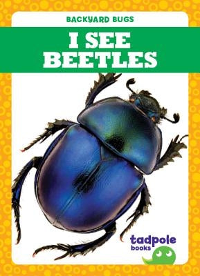 I See Beetles by Nilsen, Genevieve