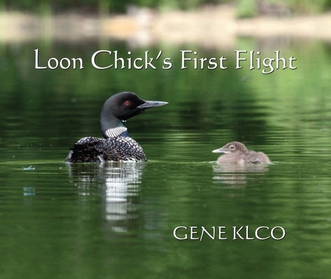 Loon Chick's First Flight by Klco, Gene