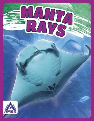 Manta Rays by Lim, Angela