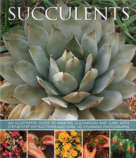 Succulents: An Illustrated Guide to Varieties, Cultivation and Care, with Step-By-Step Instructions and Over 145 Stunning Photogra by Hewitt, Terry