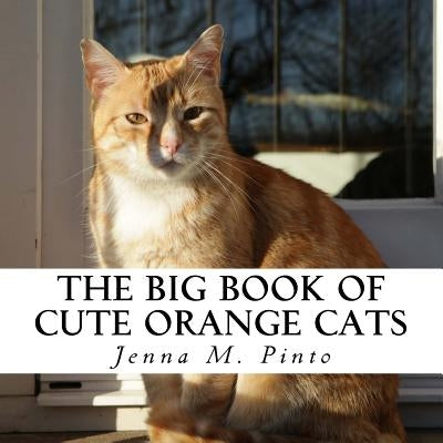 The Big Book of Cute Orange Cats: A text-free book for Seniors and Alzheimer's patients by Pinto, Jenna M.