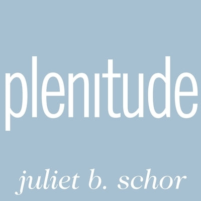 Plenitude: The New Economics of True Wealth by Schor, Juliet B.