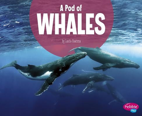A Pod of Whales by Raatma, Lucia