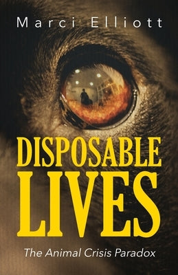 Disposable Lives: The Animal Crisis Paradox by Elliott, Marci
