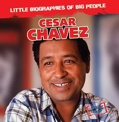 Cesar Chavez by Stoltman, Joan