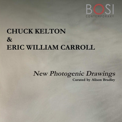 New Photogenic Drawings by Gallery, Bosi Contemporary