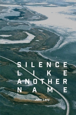 Silence Like Another Name by Levy, John