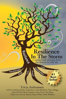 Resilience In The Storm: Coming Back Stronger From The Storms In Your Life by Andreassen, Tricia