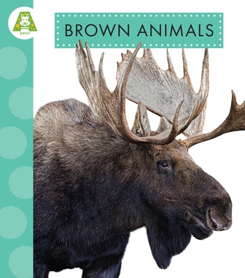 Brown Animals by Suen, Anastasia