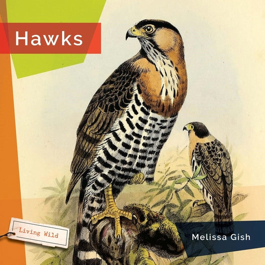 Hawks by Gish, Melissa