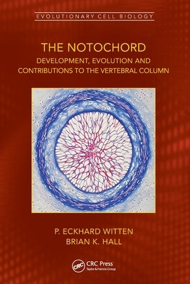 The Notochord: Development, Evolution and contributions to the vertebral column by Witten, P. Eckhard