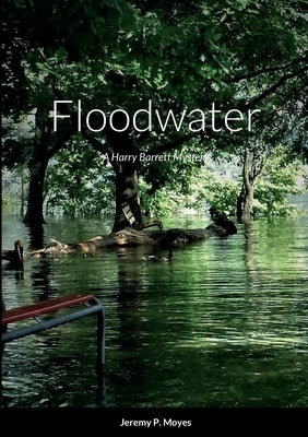 Floodwater: A Harry Barrett Mystery by Moyes, Jeremy