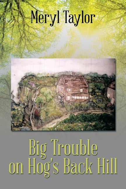 Big Trouble on Hog's Back Hill by Taylor, Meryl