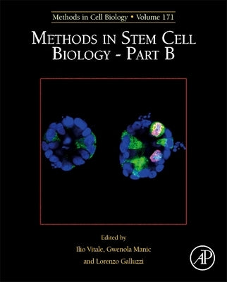 Methods in Stem Cell Biology - Part B: Volume 171 by Vitale, Ilio