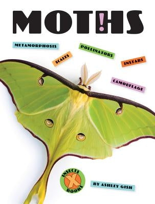 Moths by Gish, Ashley