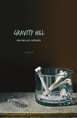 Gravity Hill by Werner, Maximilian