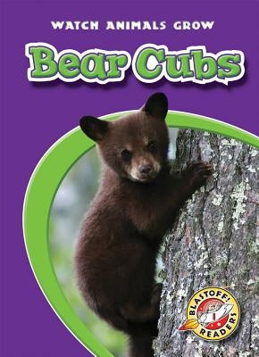 Bear Cubs by Wendorff, Anne