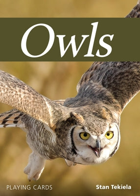 Owls Playing Cards by Tekiela, Stan