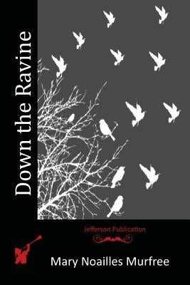 Down the Ravine by Murfree, Mary Noailles