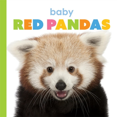 Baby Red Pandas by Riggs, Kate