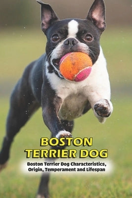 Boston Terrier Dog: Boston Terrier Dog Characteristics, Origin, Temperament and Lifespan by Mollie, Gosnell