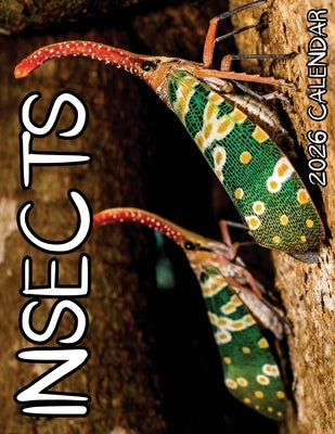 Insects 2026 Calendar by Patrick, B.