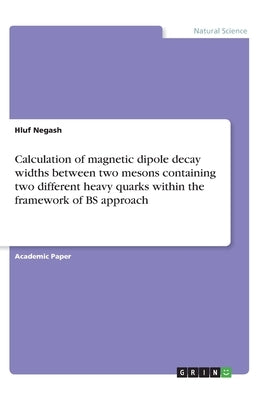 Calculation of magnetic dipole decay widths between two mesons containing two different heavy quarks within the framework of BS approach by Negash, Hluf