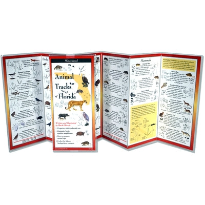 Animal Tracks of Florida by Elbroch, Mark