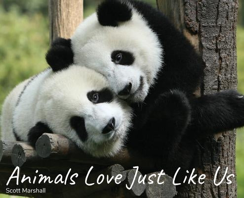 Animals Love Just Like Us by Marshall, Scott