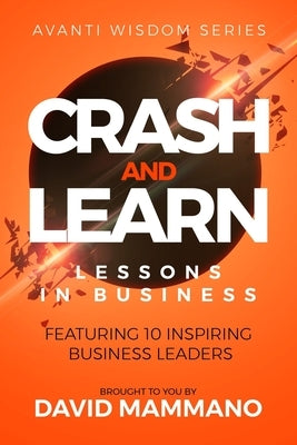 Crash and Learn: Lessons in Business by Bergin, Mike