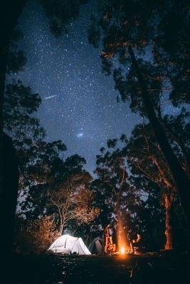 Campfire Starry Night Photo by Nature Moments