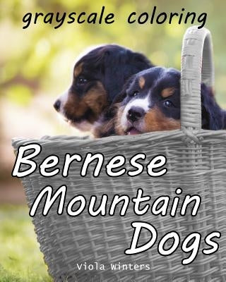 Bernese Mountain Dogs: Grayscale Coloring by Winters, Viola