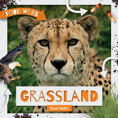 Grassland Food Webs by Anthony, William