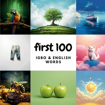 First 100 Igbo & English Words by Heidary, Ali