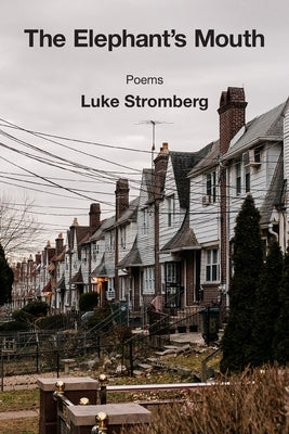 The Elephant's Mouth by Stromberg, Luke