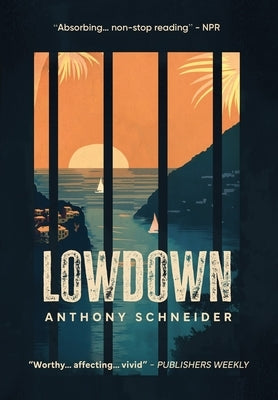 Lowdown by Schneider, Anthony