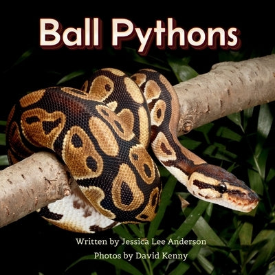 Ball Pythons by Anderson, Jessica Lee